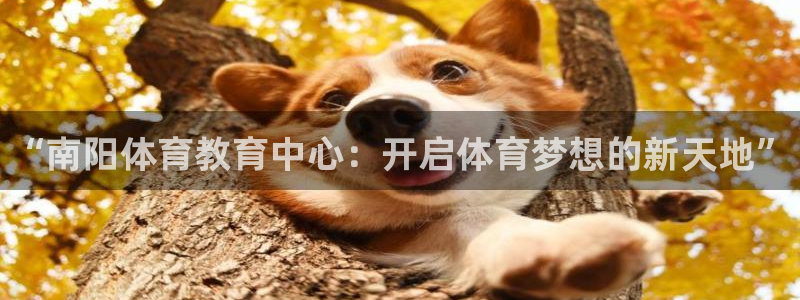 MK体育官方正版app娱乐平台：“南阳体育教育中心：