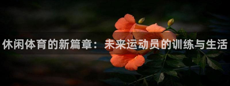 MK体育官方正版app集团官网首页：休闲体育的新篇章：未来运