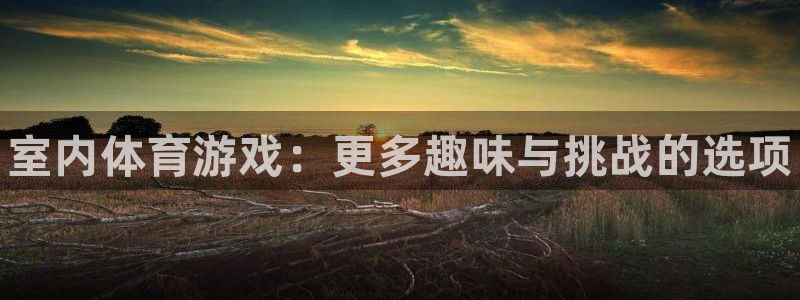 MK体育官网下载平台注册：室内体育游戏：更多趣味与挑