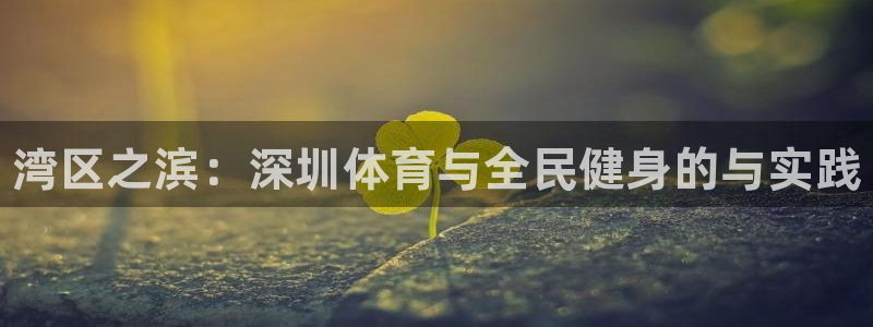 MK体育官方正版app娱乐：湾区之滨：深圳体育与全民