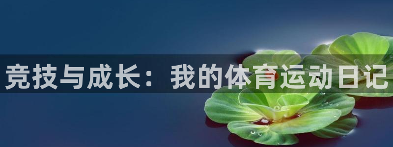 MK体育官网下载联系电话：竞技与成长：我的体育运动日记