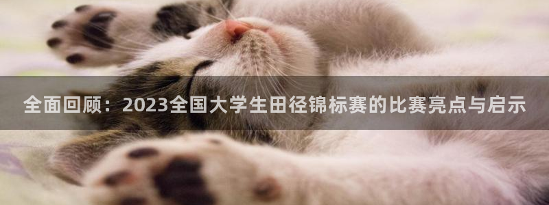 MK体育官网下载平台APP：全面回顾：2023全国大学生田径