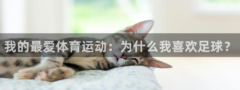 MK体育官方正版app官方：我的最爱体育运动：为什么我喜欢足