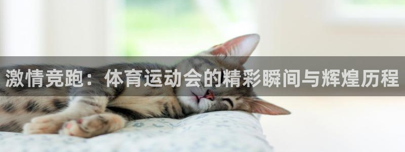 MK体育官网下载招商：激情竞跑：体育运动会的精彩瞬间与辉煌历
