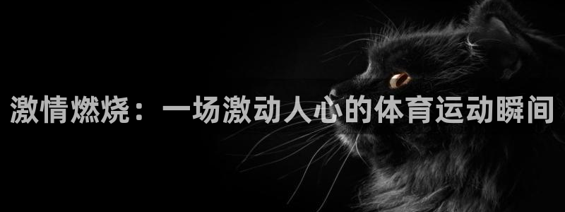 MK体育官网下载注册：激情燃烧：一场激动人心的体育运