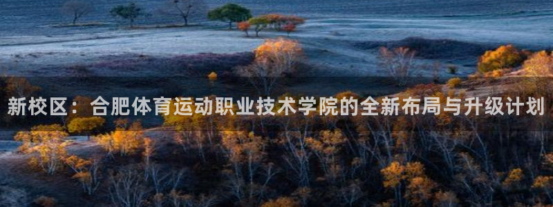 MK体育官方正版app娱乐下载