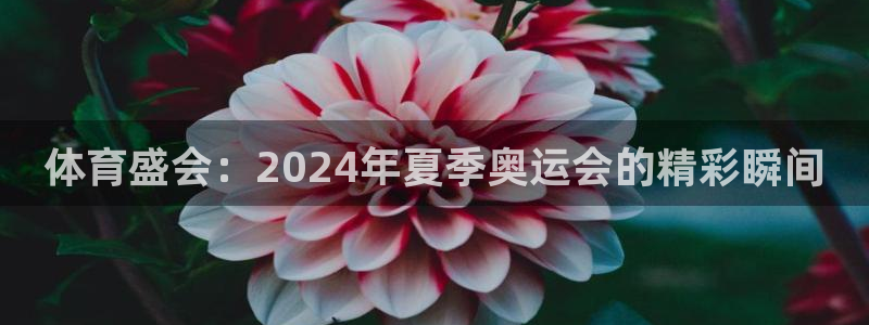 MK体育官网下载招商电话号码：体育盛会：2024年夏季奥运会