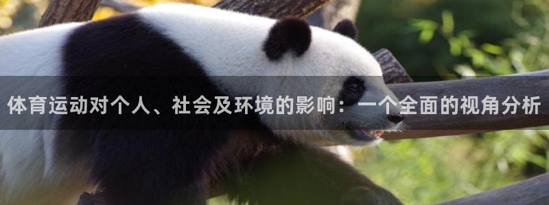  MK体育官网登录：体育运动对个人、社会及环境的影响：一个全面
