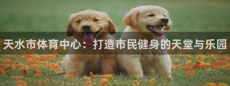 MK体育游戏：天水市体育中心：打造市民健身的天堂与乐园