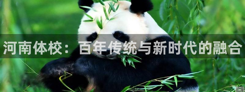  MK体育正规吗?：河南体校：百年传统与新时代的融合