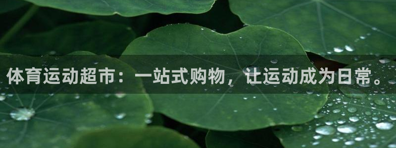  mk体育app官网版最新版本更新内容：体育运动超市：一站式购