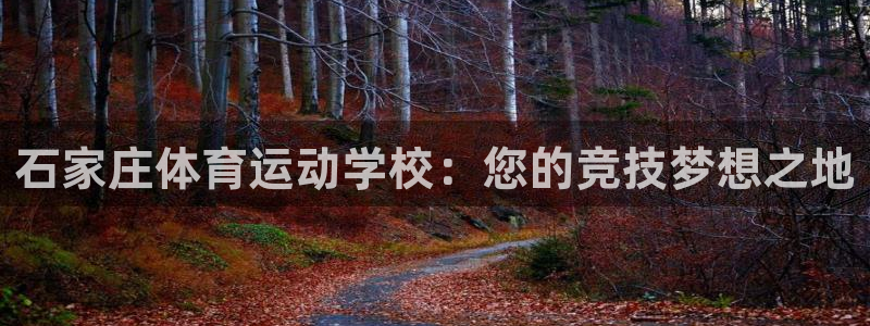 MK体育官网下载招商电话地址