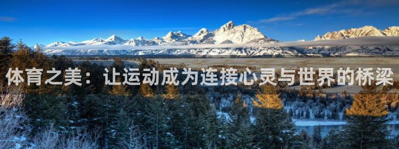 MK体育官网下载平台注册：体育之美：让运动成为连接心灵与世界