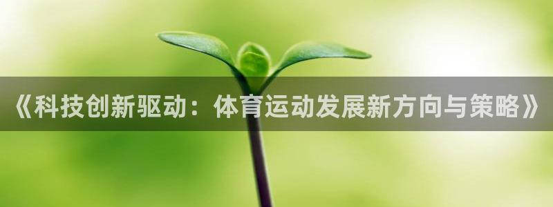 MK体育官网下载平台是正规平台吗